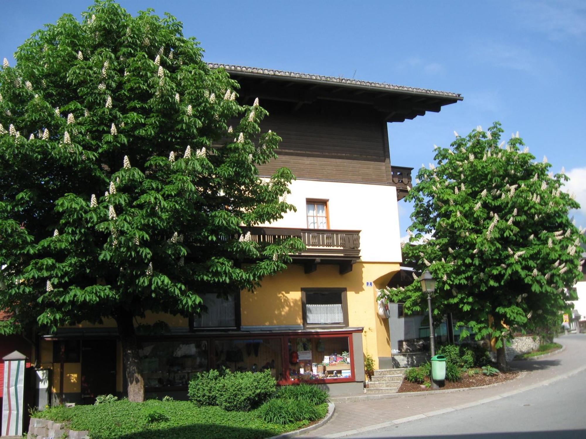 Haus Am Dorfplatz Lägenhet Uttendorf Exteriör bild
